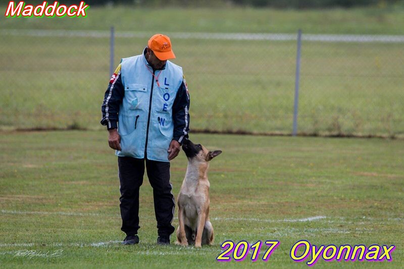 2017-oyo-maddock (2).jpg